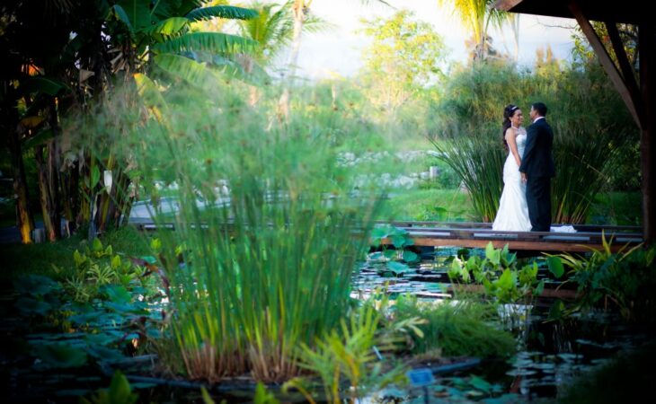 FAQs: Wedding Photography